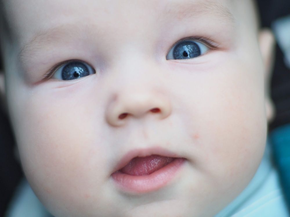 Фотография автора Иван Вдовин