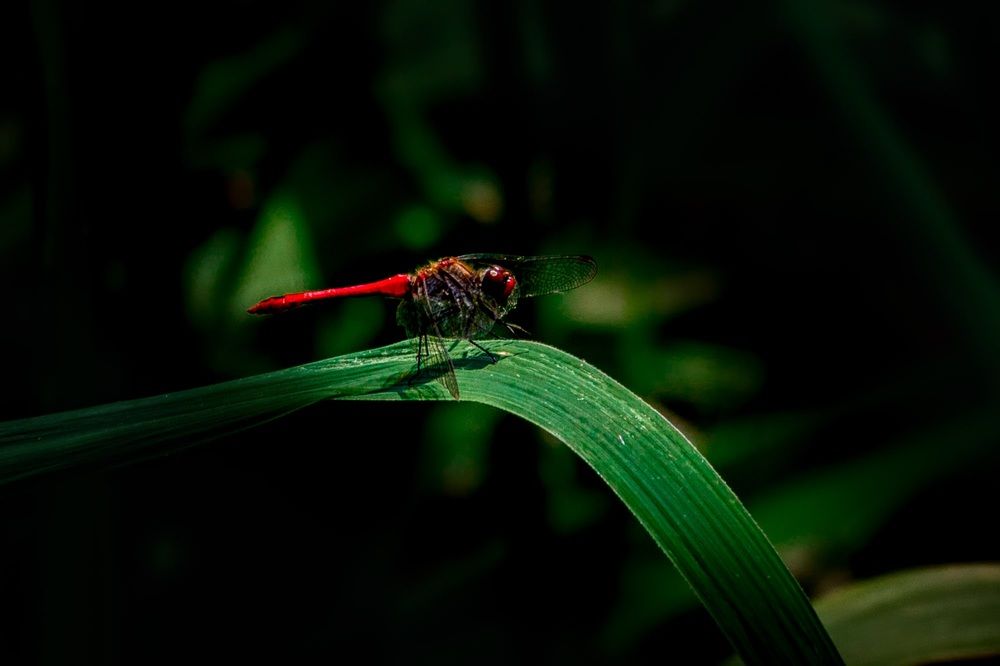 Photograph by Павел Фердман