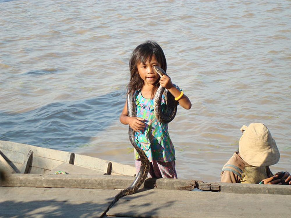 Photograph by Анжелика Трошина