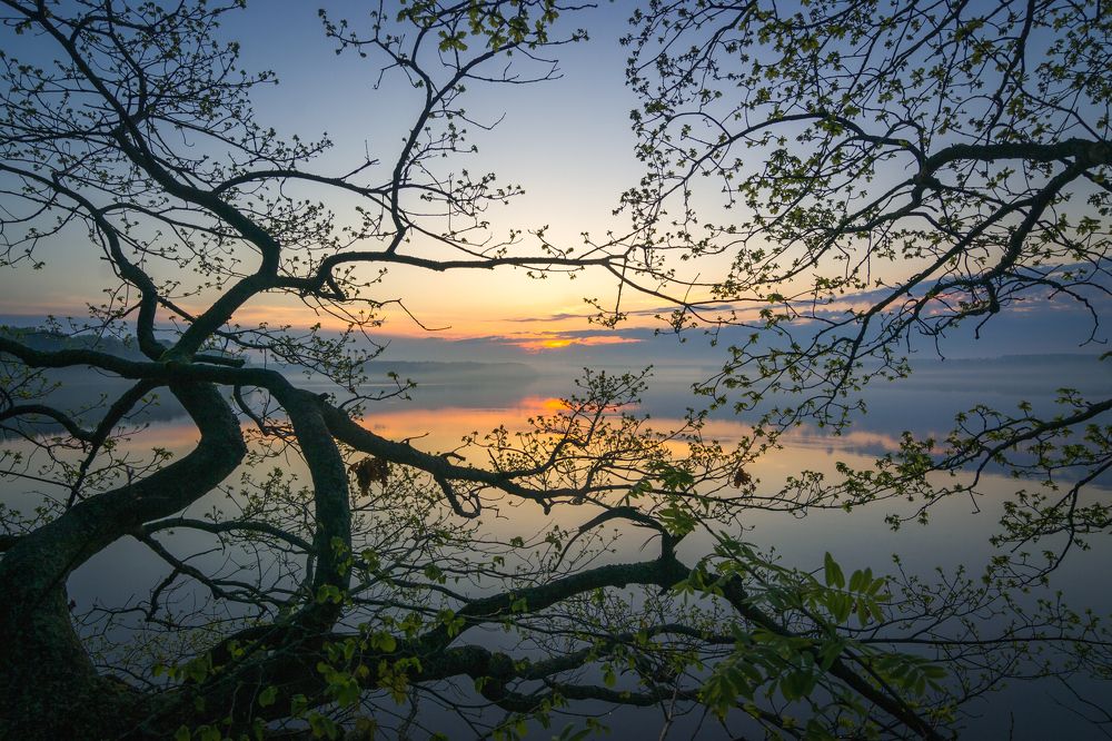 Photograph by Александр Кыров