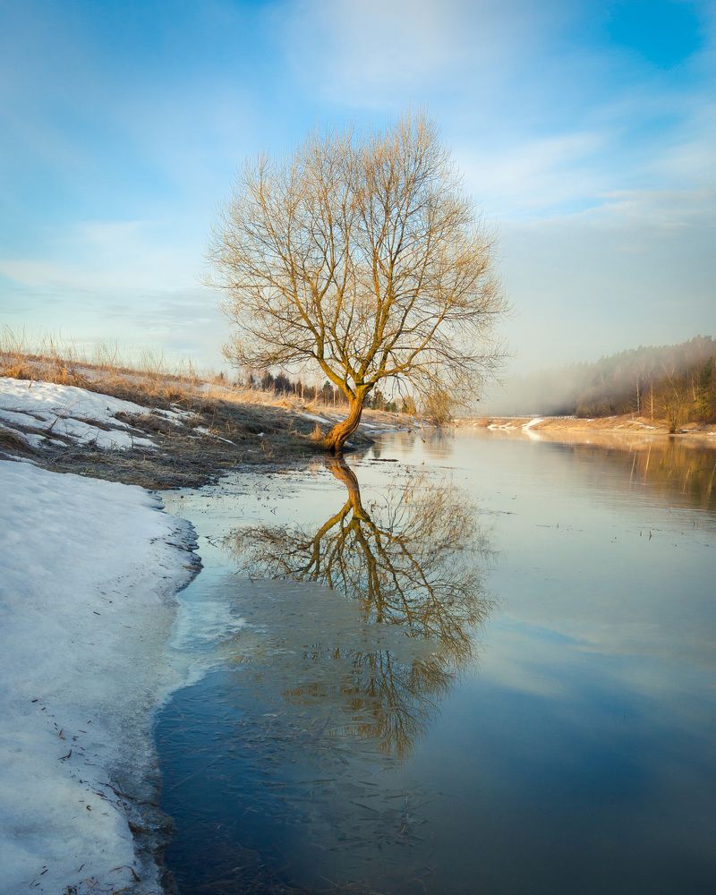 Photograph by Александр Кыров