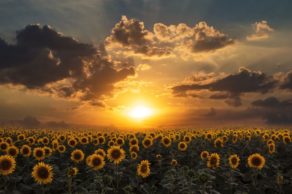 Photograph by Екатерина