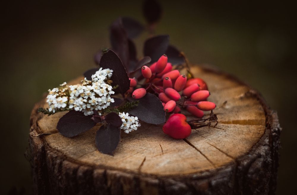 Photograph by Екатерина