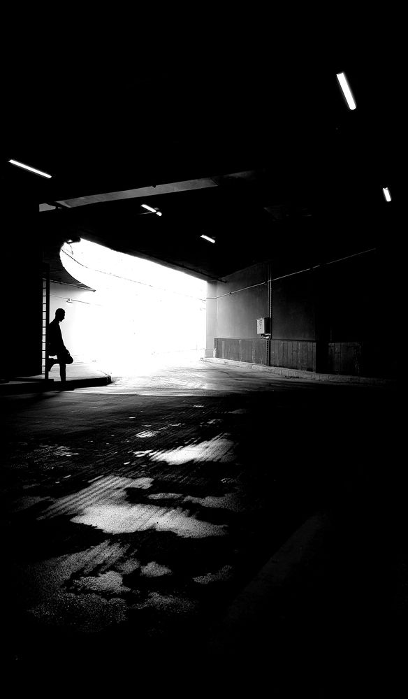 Фотография автора Nima Nezafat Yazdi