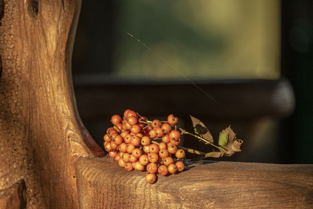 Photograph by Юлия Куликова