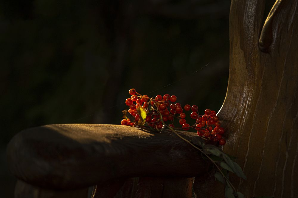 Photograph by Юлия Куликова