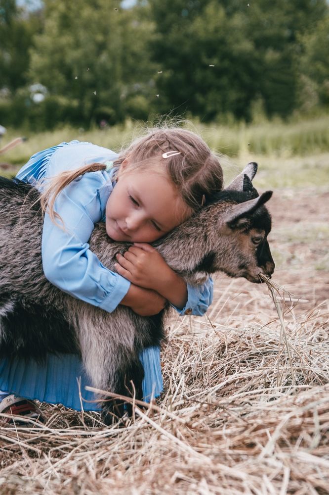 Photograph by Альбина Баташова