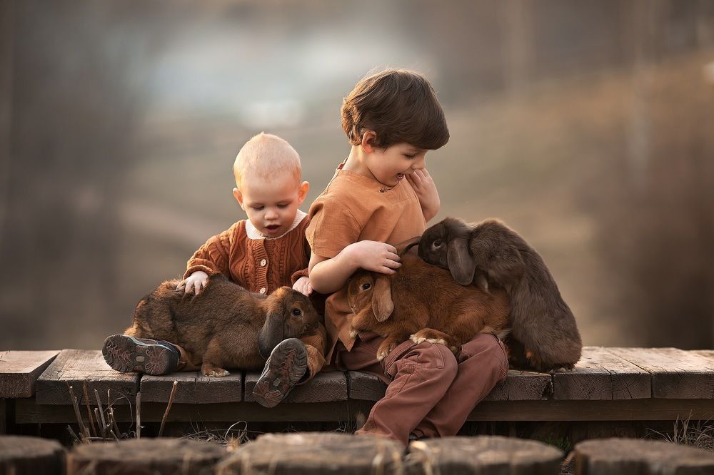 Фотография автора Анна Крутицкая