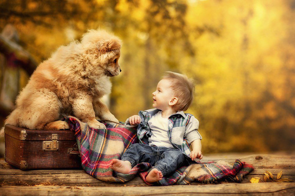 Photograph by Александр Гоман