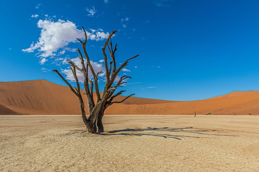 Сквозь века