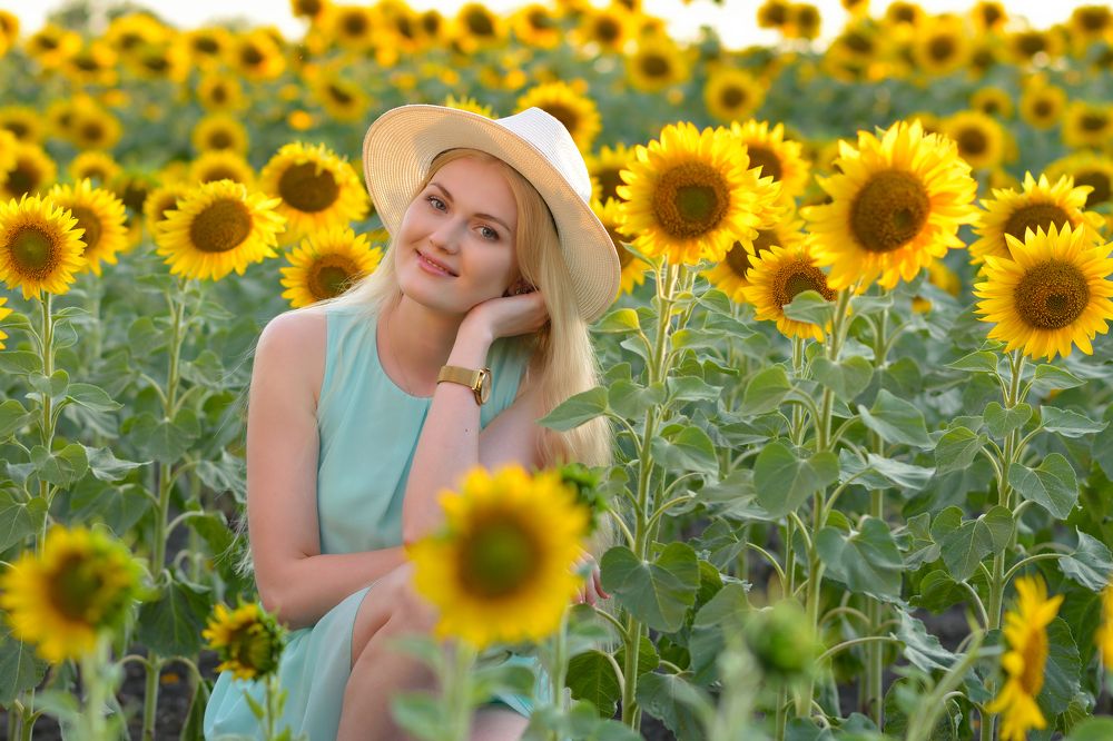 Фотография автора Алексей Воронкин