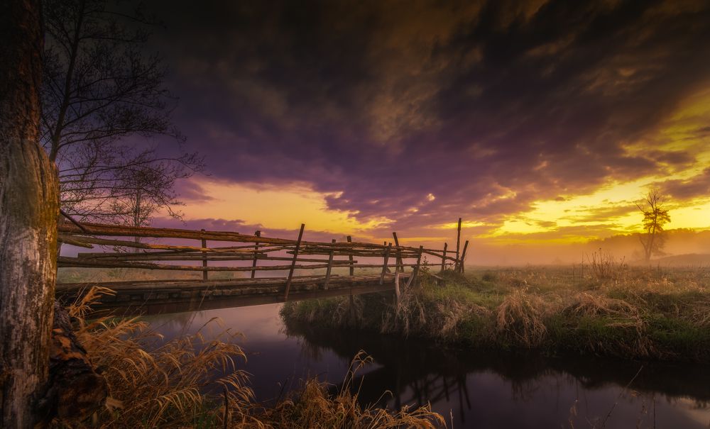 Photograph by Dariusz Budyta