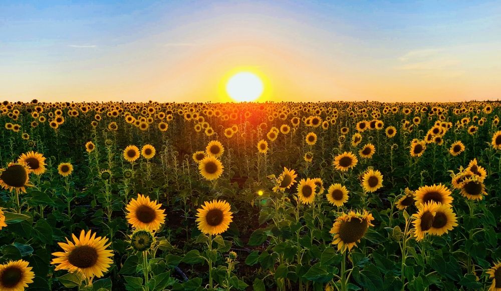 Photograph by Половова Ирина