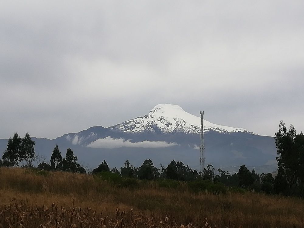 Photo #6385453