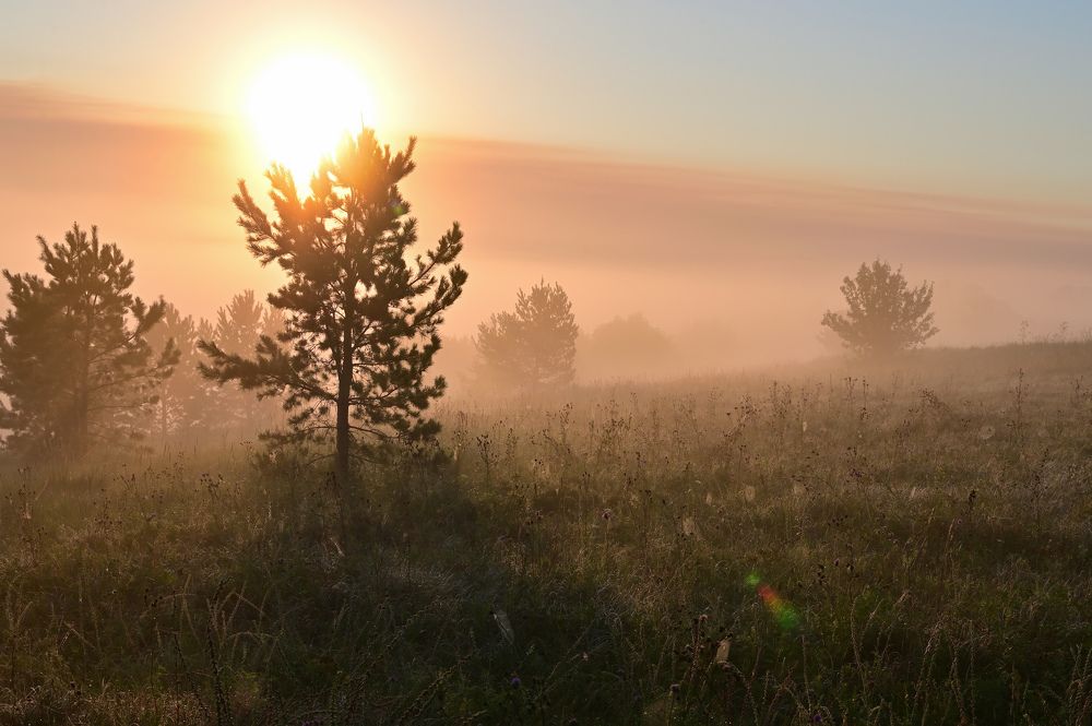 Туманная геометрия