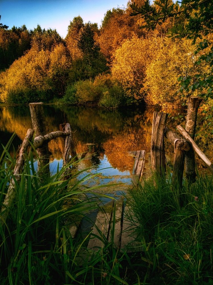 Photograph by Света Богоявленская