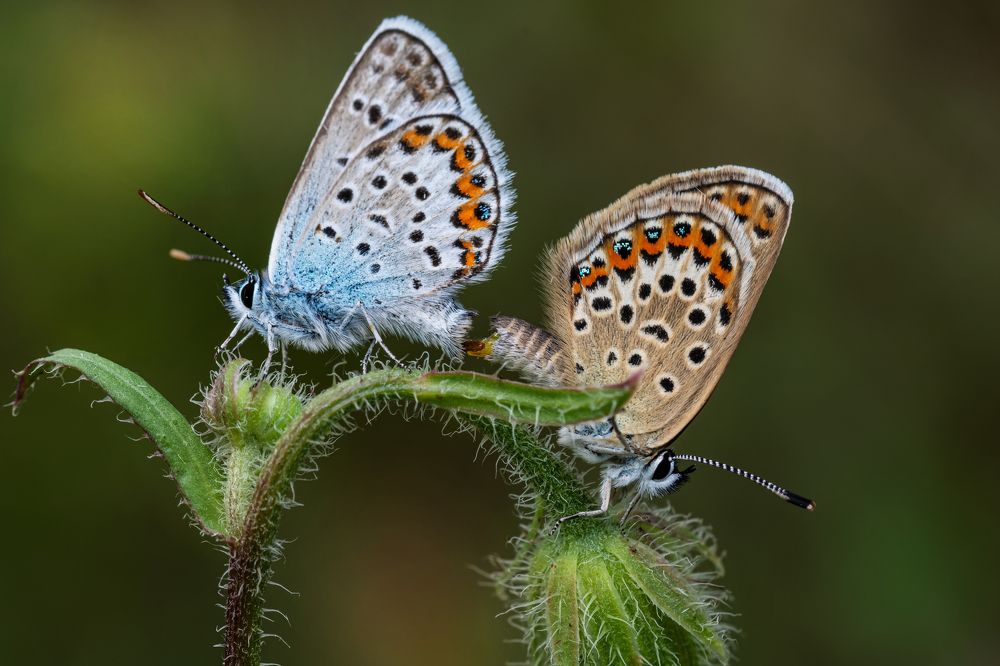 Photograph by Андрей Зимин