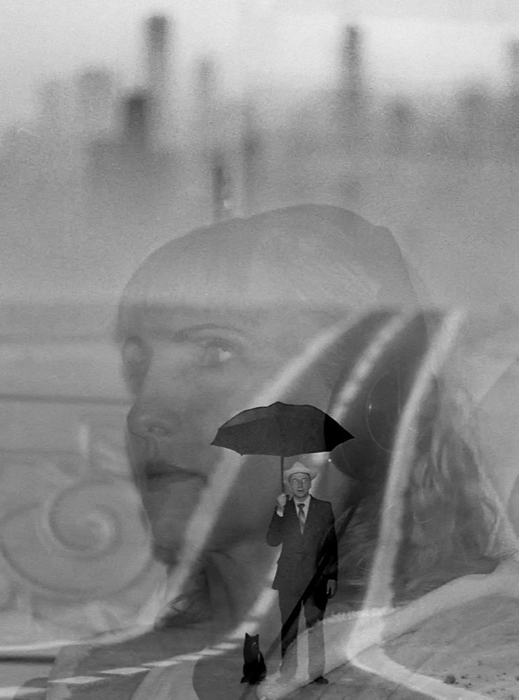 Кот и его человек