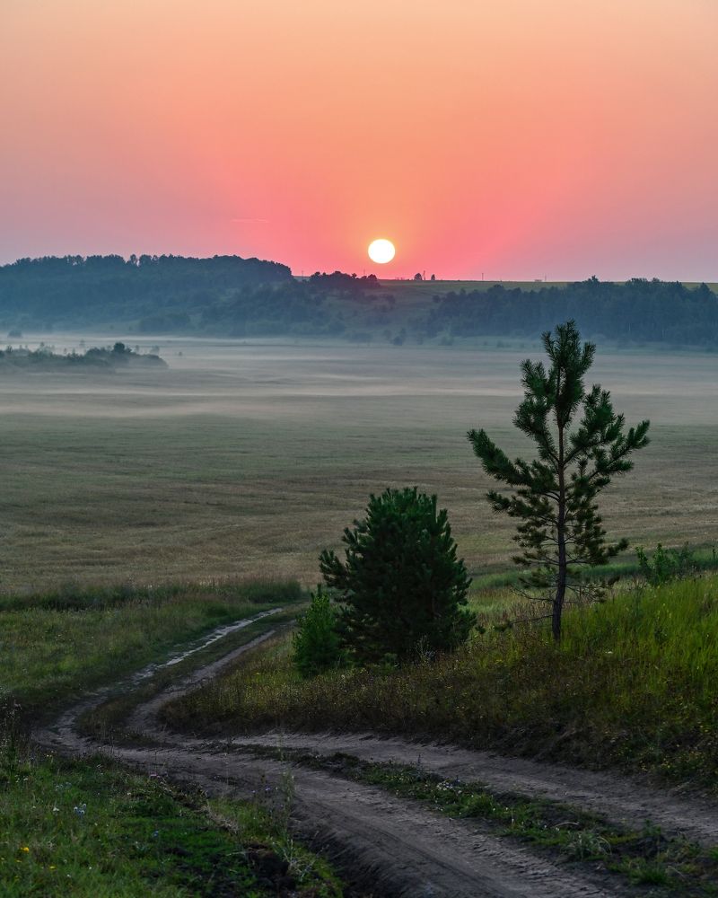 И солнце вставало
