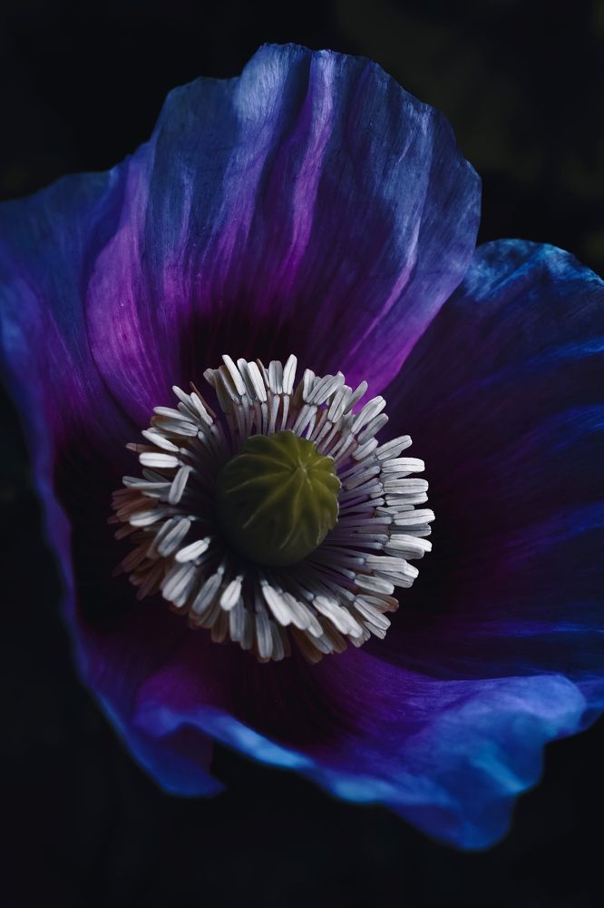 Photograph by Наталья Попова