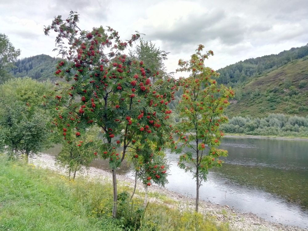 Photograph by Илья Поляков