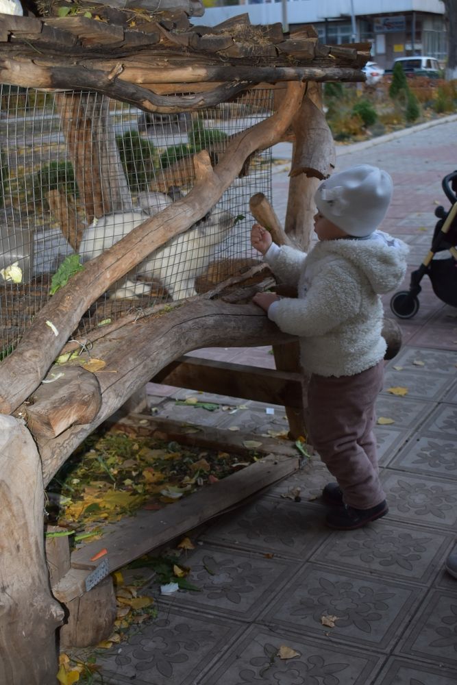 Photograph by Любовь Панфилова