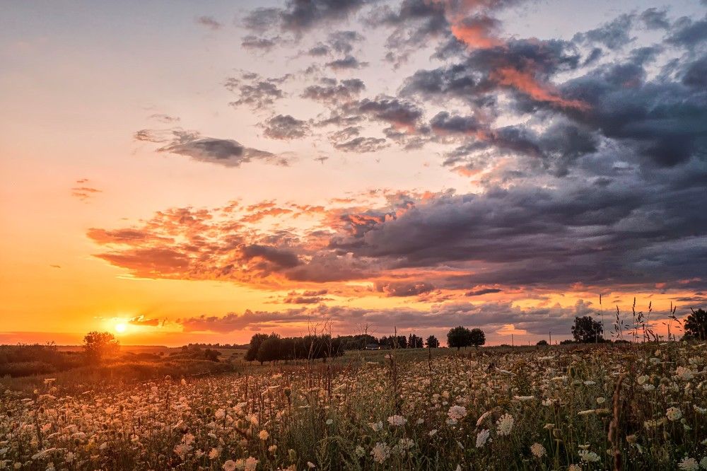 Photograph by Андрей Ныриков