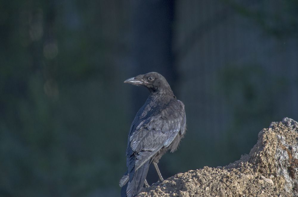 Фотография автора Артем Андрющенко