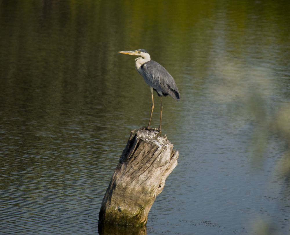 Фотография автора Артем Андрющенко
