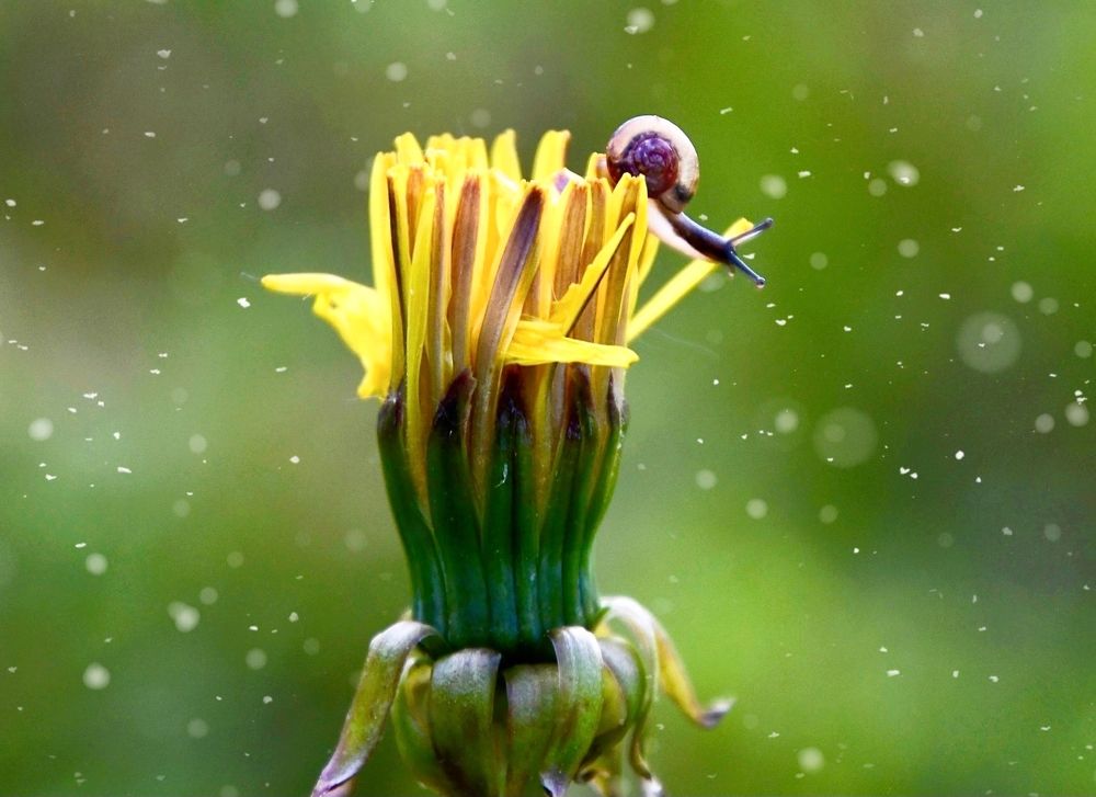 Photograph by Анастасия Тетерина