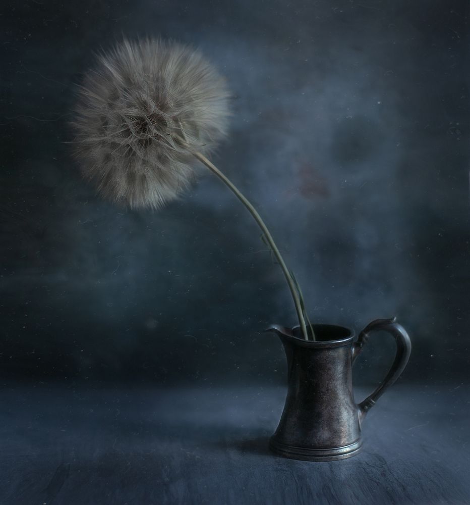 Photograph by Svoboda Andreeva