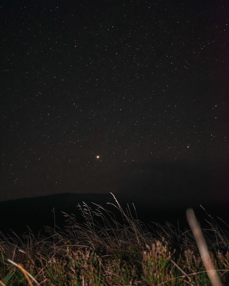 Photograph by Иштван Шандор