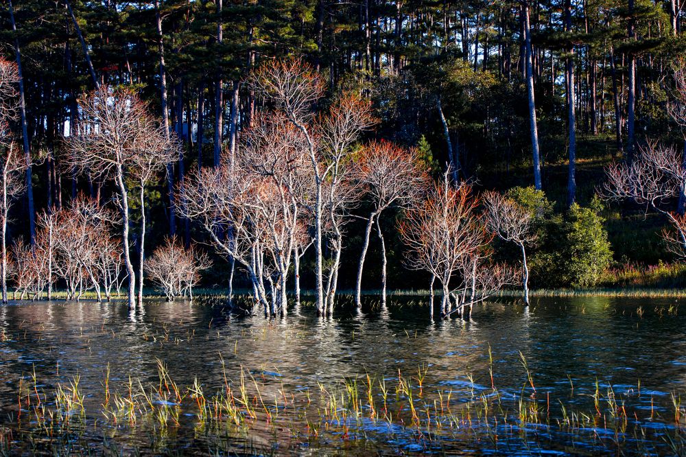 Photograph by THANH TUNG PHAM