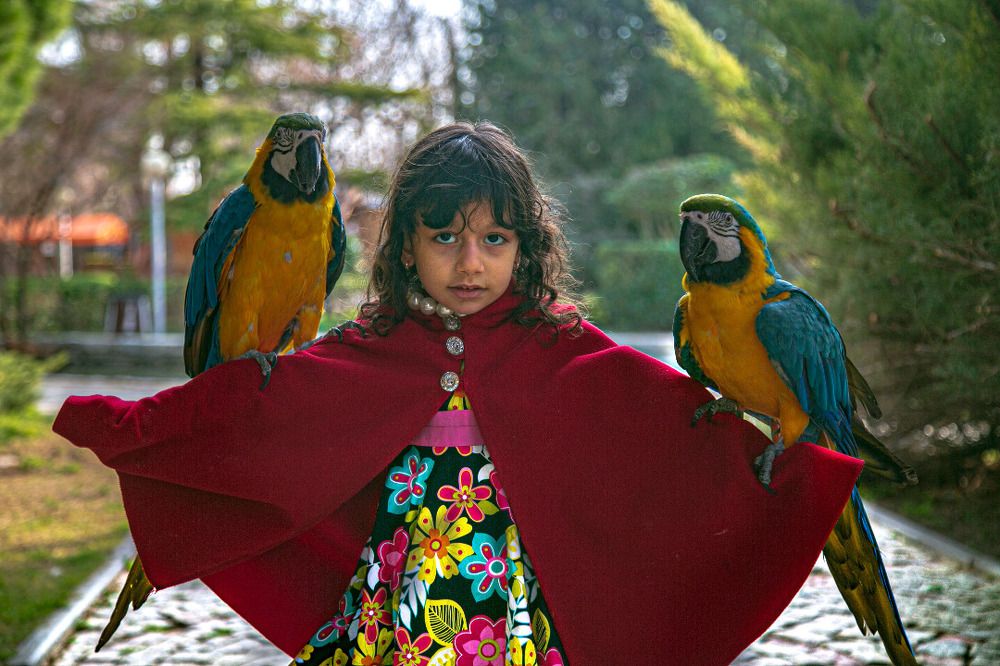 Photograph by Mohammadreza Majlesifar