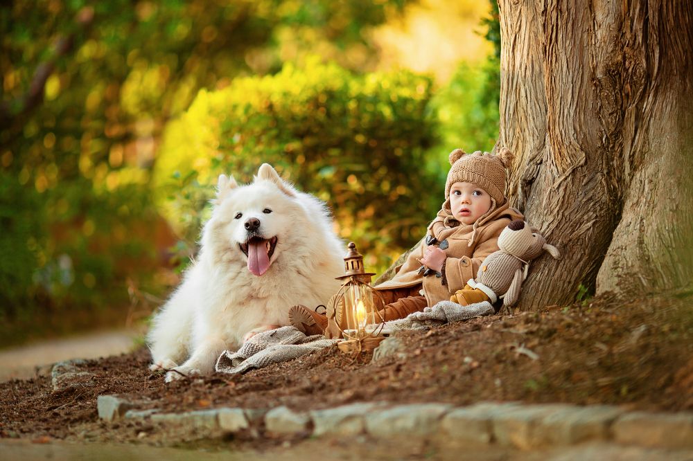 Photograph by Дарья Чаплыгина