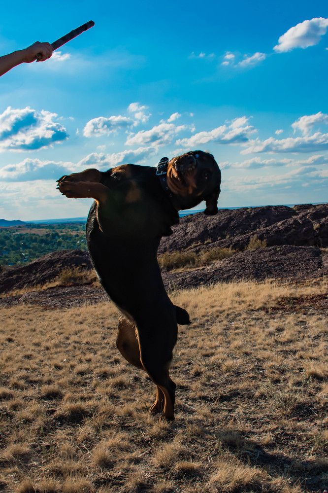 Photograph by Елена Прохорова