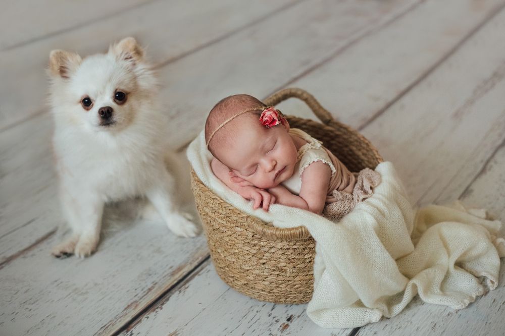 Photograph by Марина Левашова