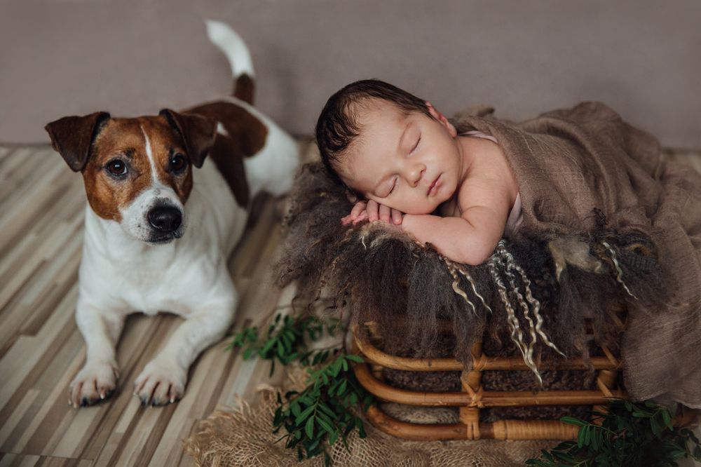 Photograph by Марина Левашова