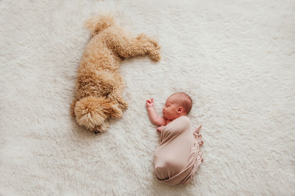 Photograph by Марина Левашова