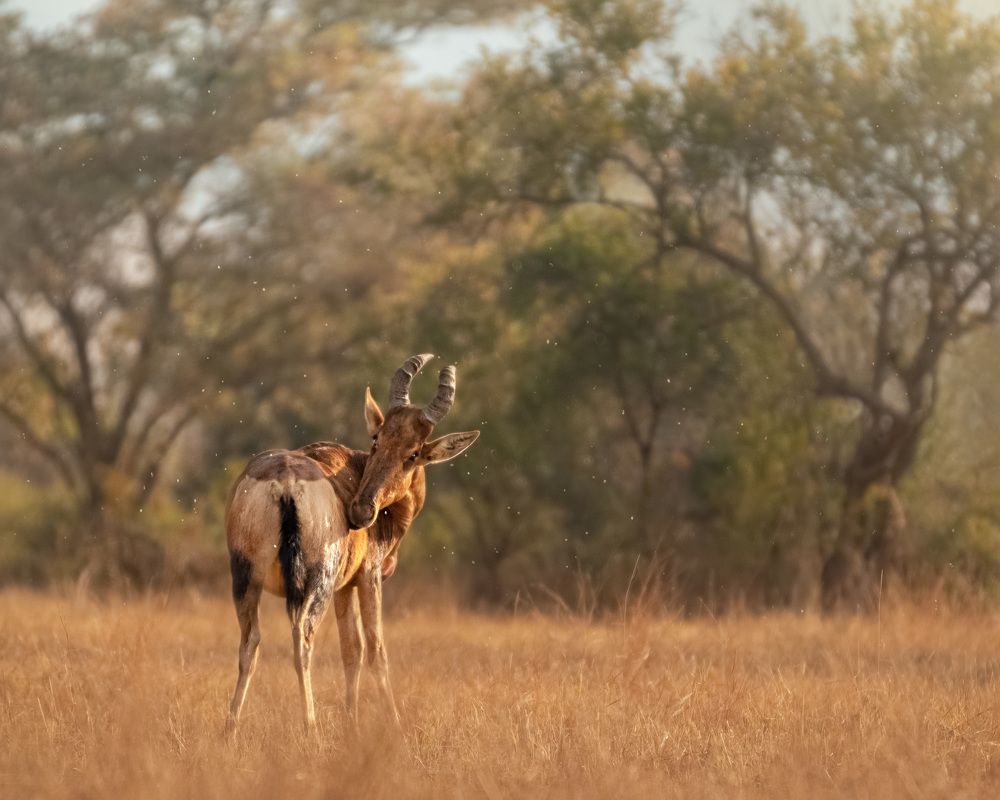 Photograph by Geri Uauy