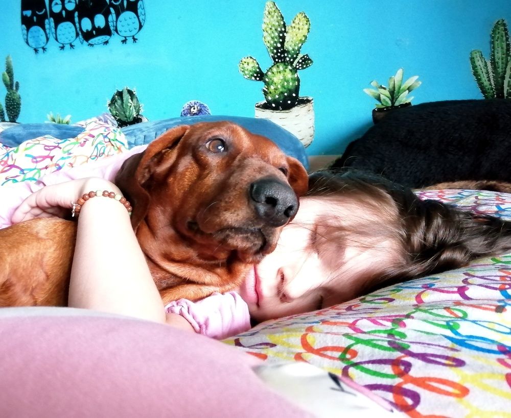 Photograph by Светлана Веселовская