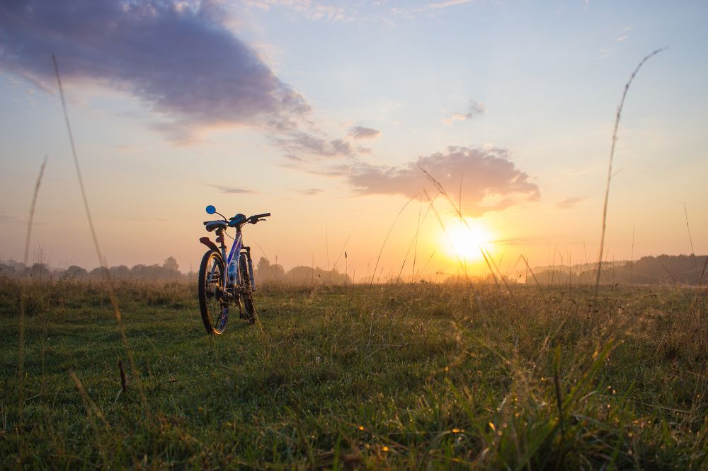Photograph by Екатерина Мартынова