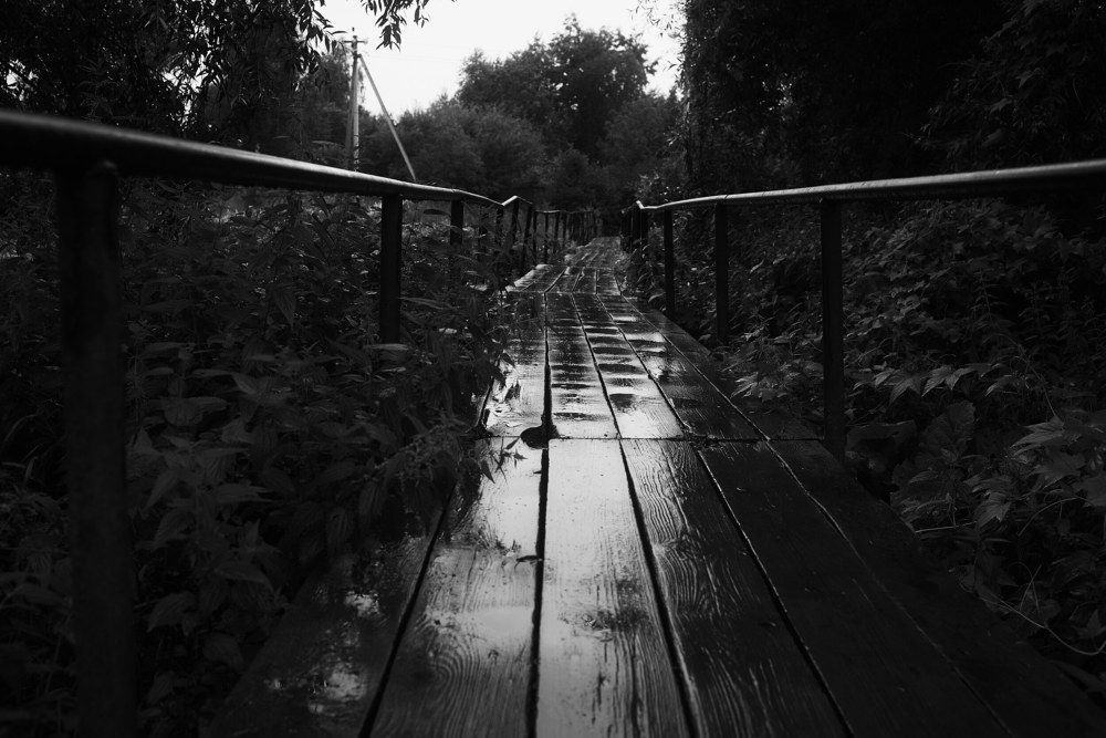 Photograph by Виталий Андросов