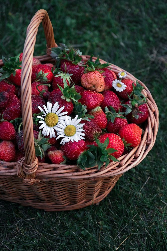 Photograph by Анна Попова