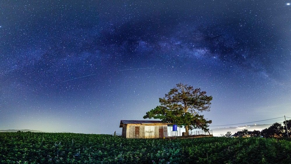 Photograph by Phan Quang