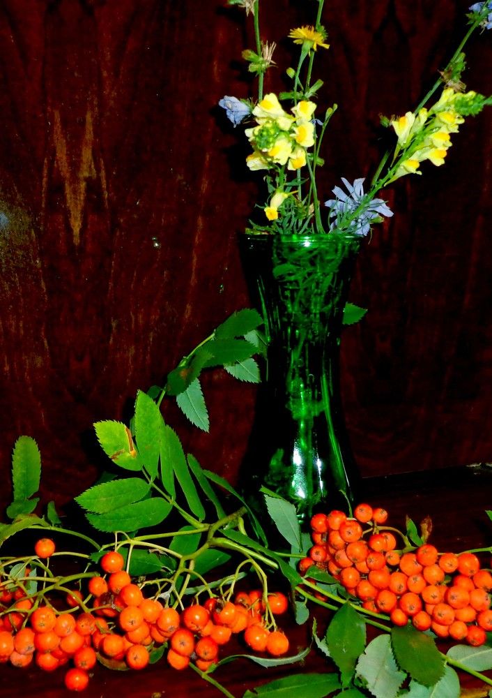 Photograph by Наталья Сазонова