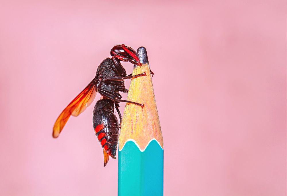 Photograph by Yusuf Buchari