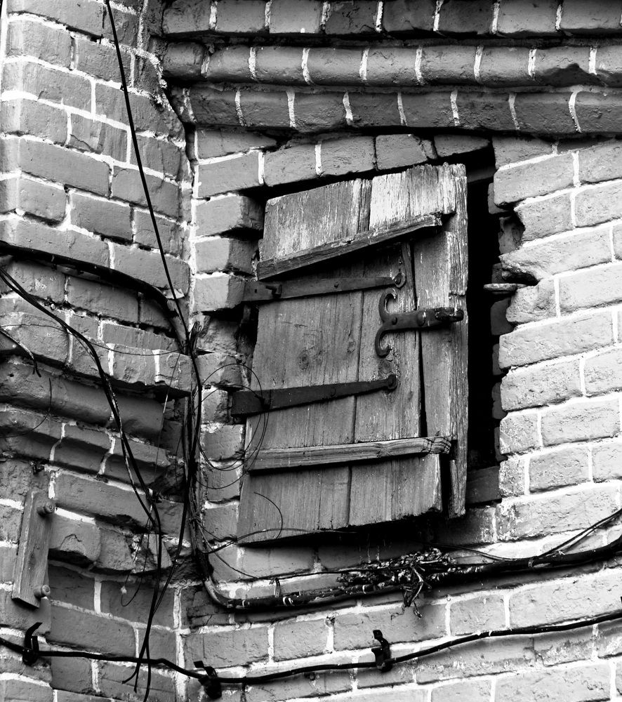 Photograph by Ольга Паньшина