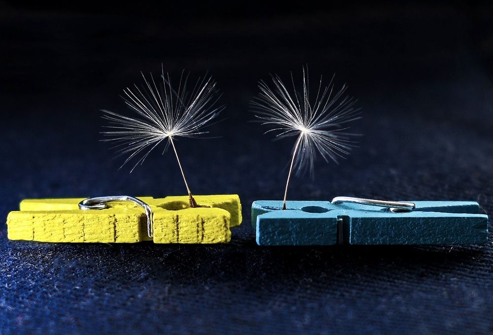 Photograph by Анастасия Тетерина