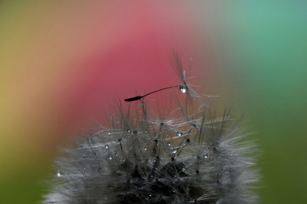 Photograph by Анастасия Тетерина